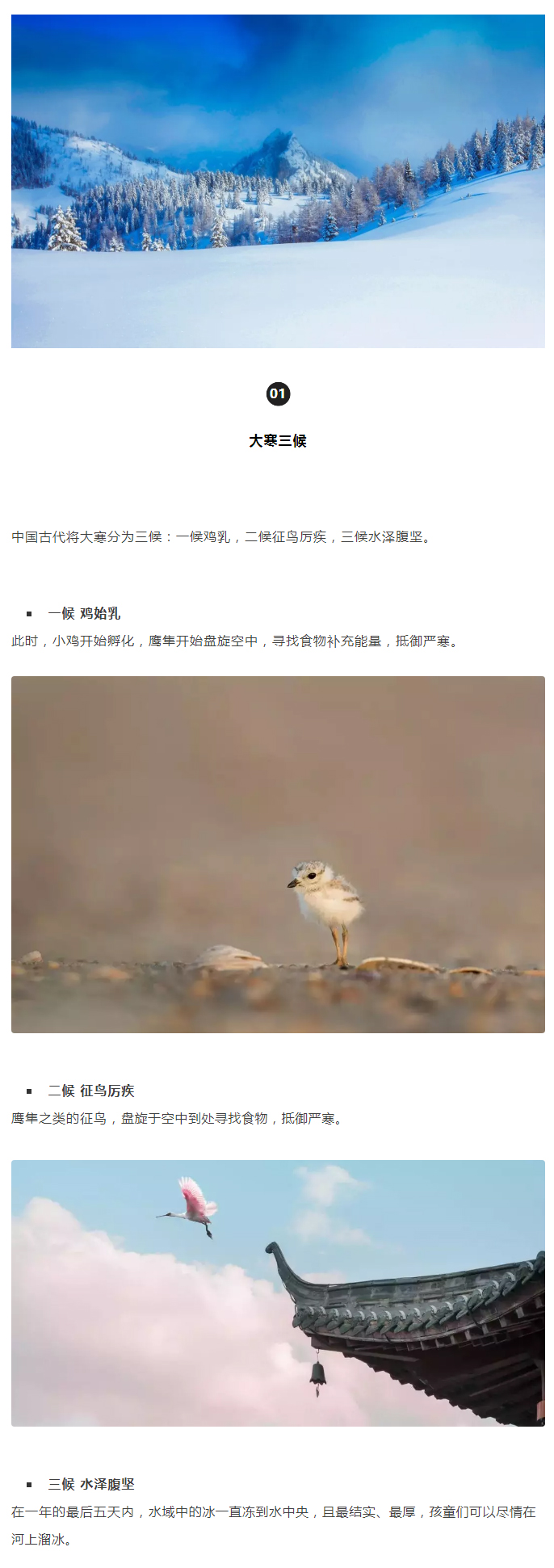 2022年（第5期）：大寒：愿您安暖幸福，歲歲平安_02