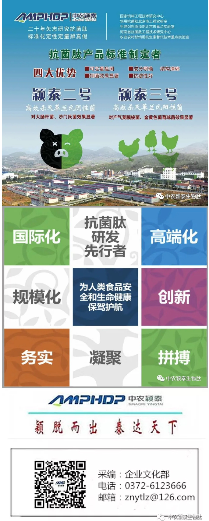 2022年（第5期）：大寒：愿您安暖幸福，歲歲平安_08