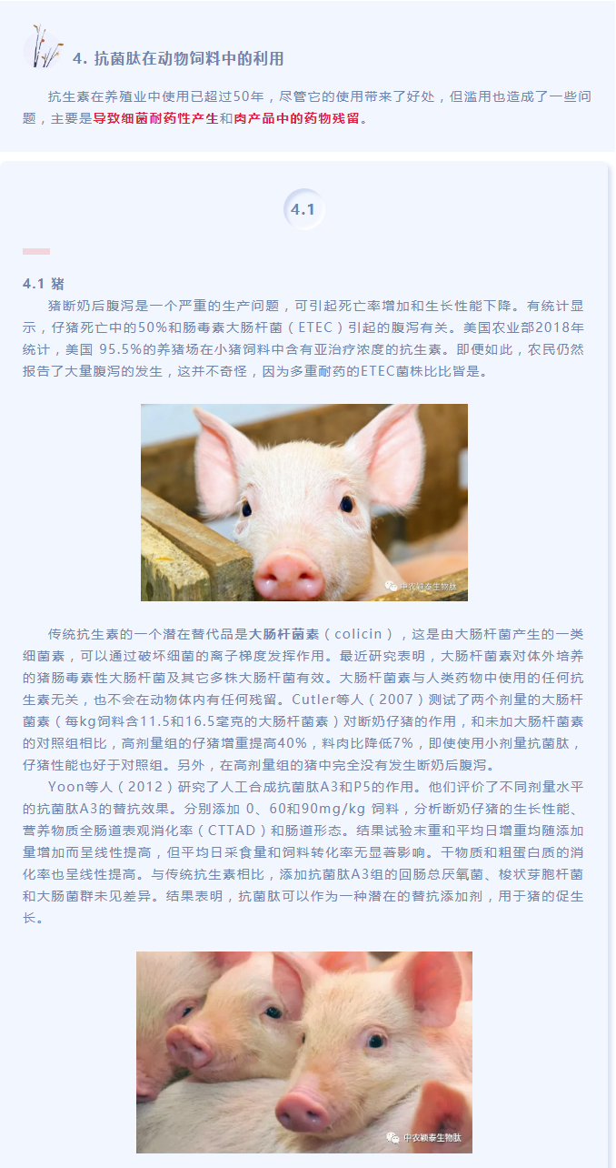 抗菌肽作為替抗飼料添加劑對動物生產(chǎn)、食品安全和公共衛(wèi)生影響的綜述（下）_01