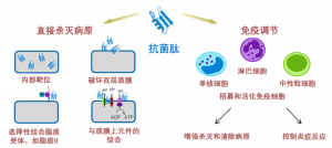 泰倍健——新型免疫增強(qiáng)劑，構(gòu)建核心抗病力